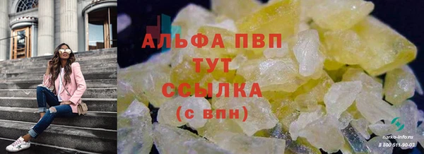 соль ск Гатчина